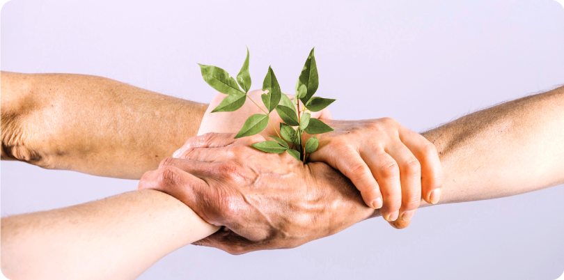 DONACIÓN PERSONALIZADA