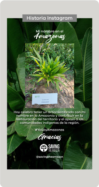 DONA Y SIEMBRA UN ÁRBOL