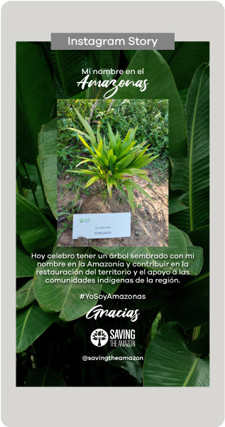 DONA Y SIEMBRA UN ÁRBOL
