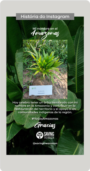 DONA Y SIEMBRA UN ÁRBOL