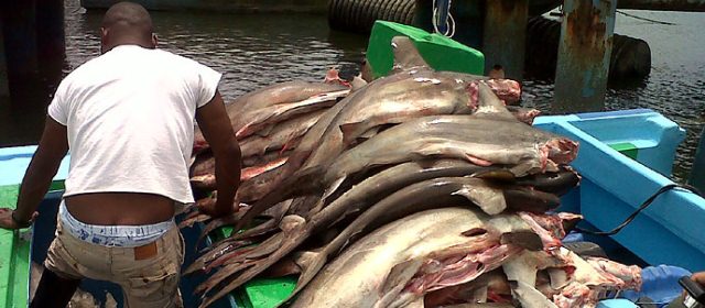 ¡La pescadería ilegal afecta a nuestras comunidades!