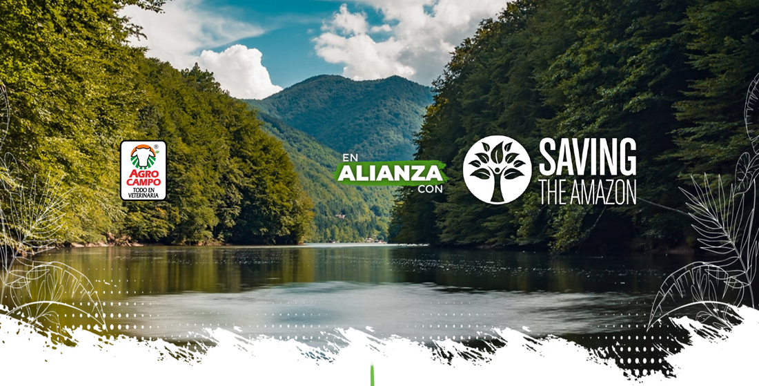 Agrocampo junto a Saving The Amazon