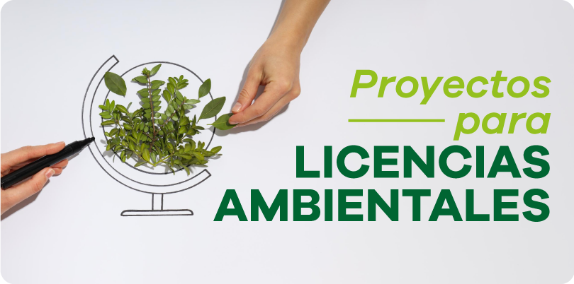 PROYECTOS PARA LICENCIAS AMBIENTALES