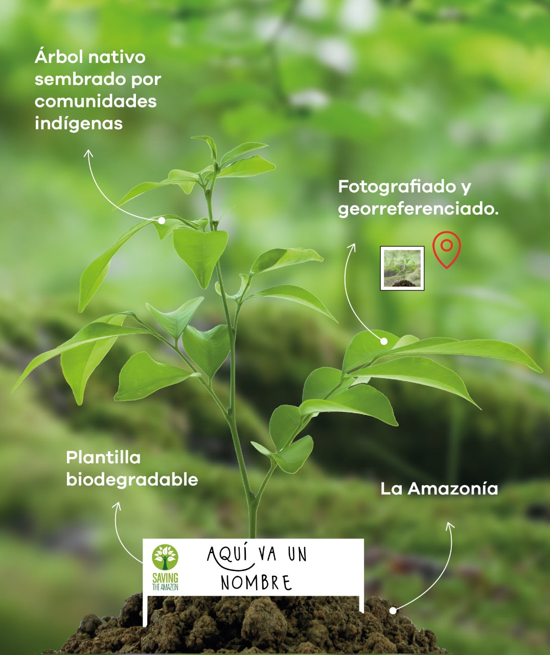 Un árbol para un recién nacido - Saving The Amazon