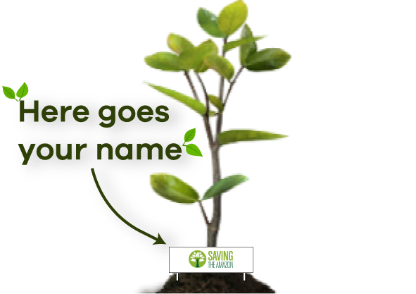 Un árbol para mi - Saving The Amazon