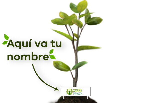 Un árbol para mi - Saving The Amazon