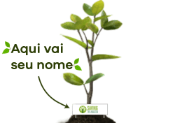 A tree for me