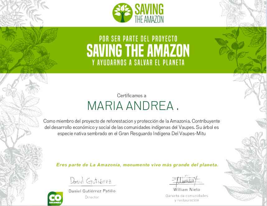 Amazon Forest - Saving The Amazon