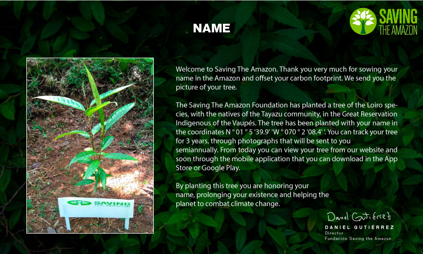 Un árbol para mi - Saving The Amazon