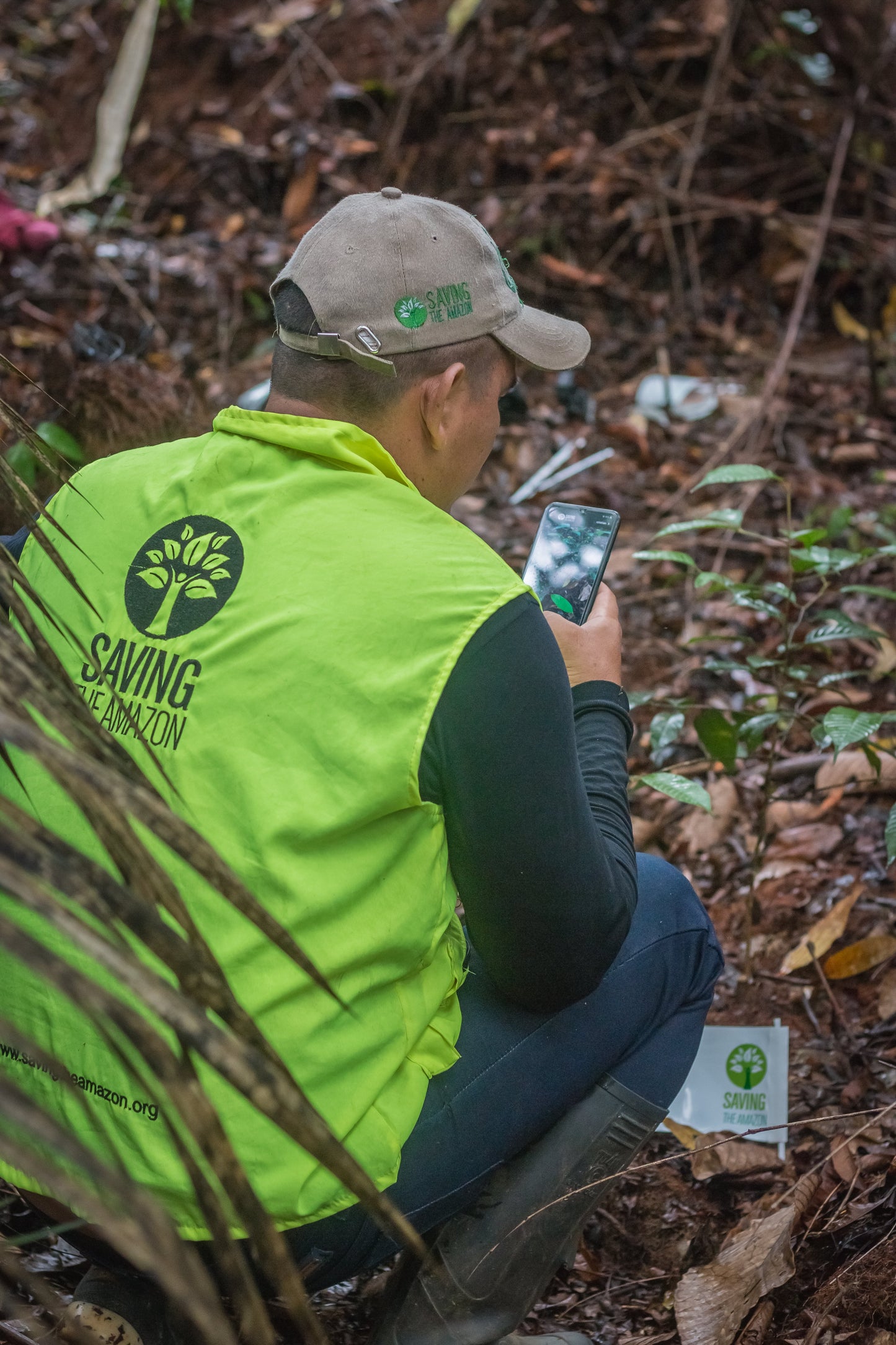 Hojas verdes para dar tus condolencias - Saving The Amazon