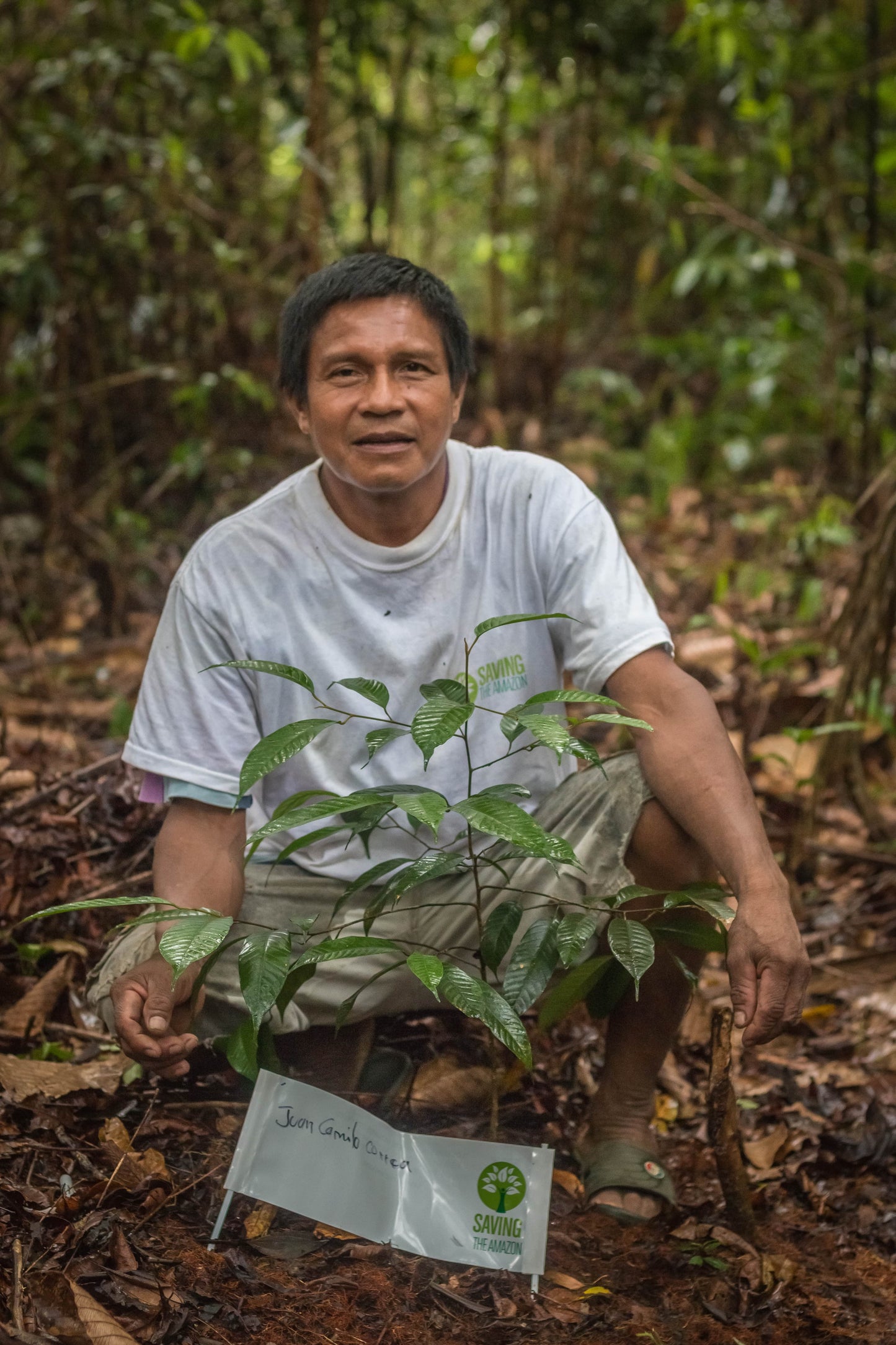 Un árbol para un recién nacido - Saving The Amazon