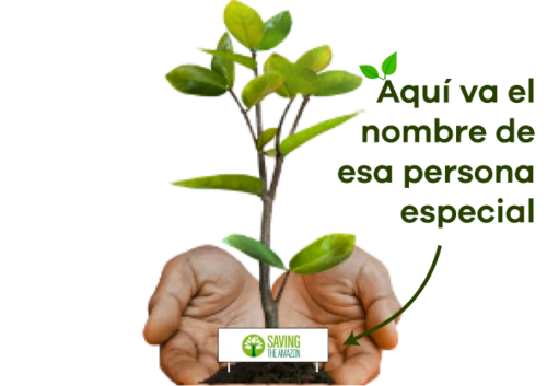 Un árbol para regalar - Saving The Amazon